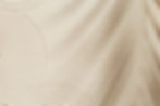 shutterstock_2030269154.jpg