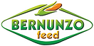logo bernunzo in rilievo.png