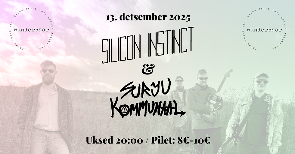 Silicon Instinct comes to Pärnu