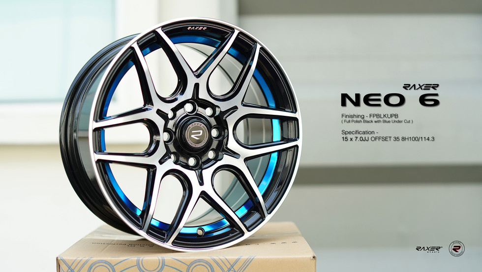 R NEO6