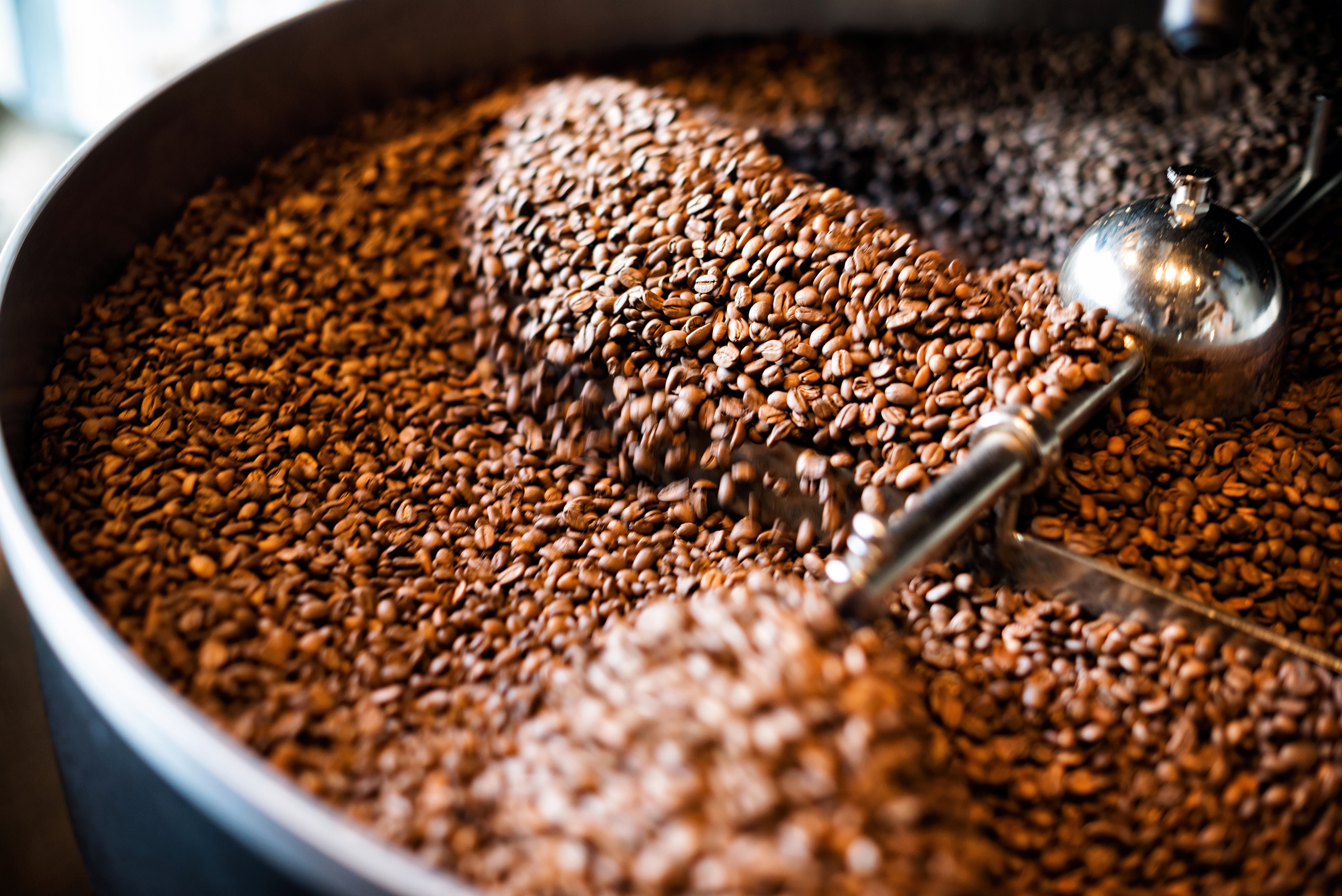 organic coffee wholesale