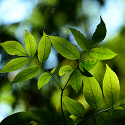 Naar buiten voor gezondheid