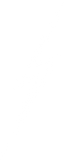 BOLT_white.png