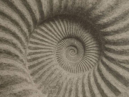 Nostalgia | Esencia Journal