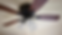 ceilingfan.png