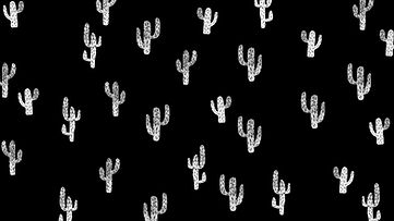 Black and White Cactus