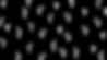 Decorative image of Black and White Cactus