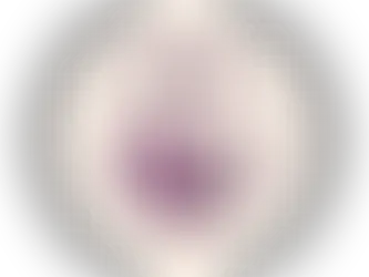 We’re Proud to Announce Our Commitment to the NOF Award