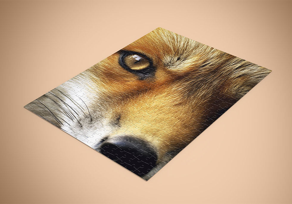Puzzle 500 ou 1000 pièces petit renard de face