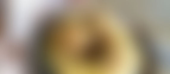 Boulettes veggies aux Champignons