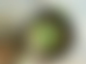 Pink Quinoa et ses poireaux