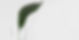 AEnB2Ur3SKizGBJ1AAx8HuMyllyWKtoKLURgY9Toy4-M3jM6rZS8DYFkD4cuZhoSFDl__keV9ZWTIO_-a-LixINMxU