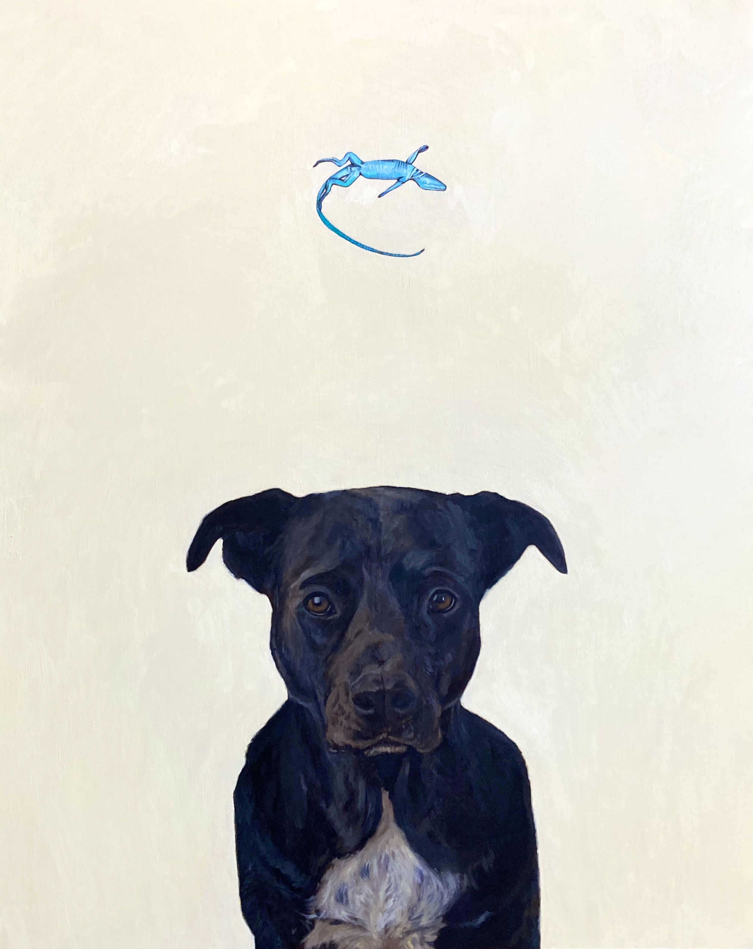 'Memento Mori (dead lizard)'