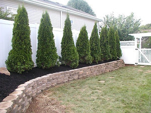 Beautiful Wallscapes to creates privacy.