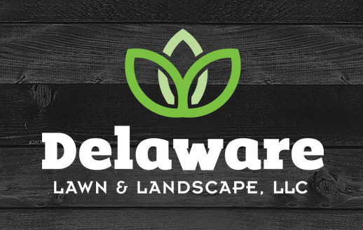 Pelouse et paysage du Delaware