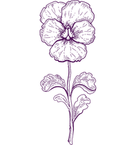 Untitled design (2).png