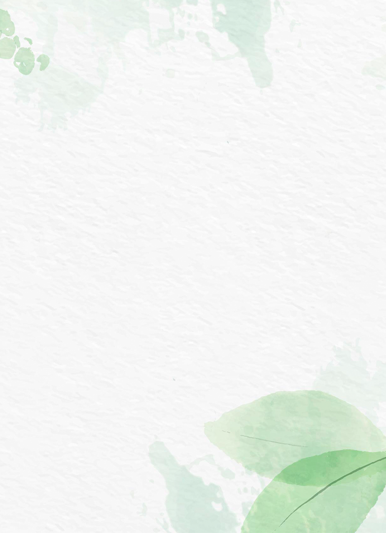 fundo_site.png