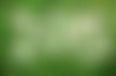 Novogodišnja čestitka