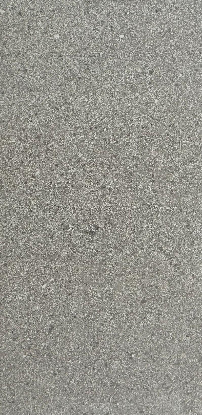 T39201