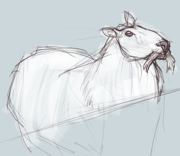 Apple Farm sketch