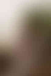 Meg Senior UK Wedding Celebrant | English at-home marquee wedding | Celebrant standing on stage