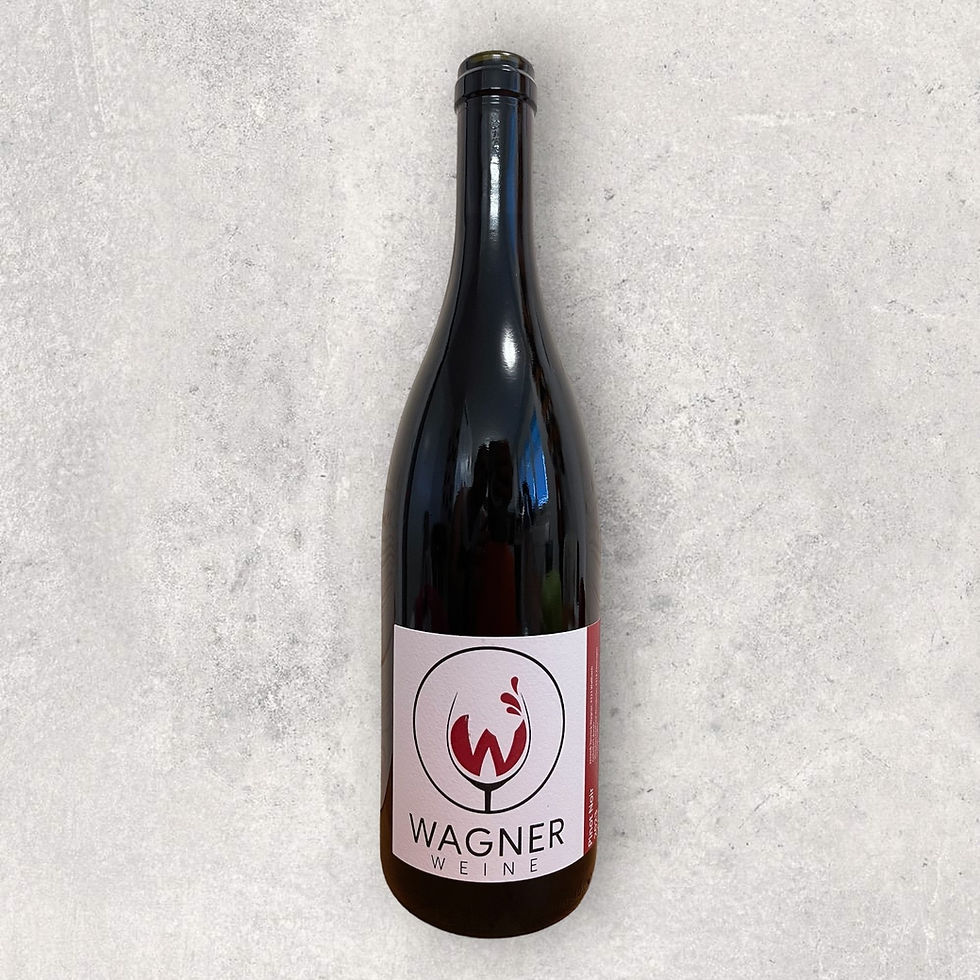 Pinot Noir 2023 AOC Aargau