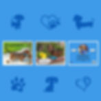Thumbnail: Softcover 11x8.5