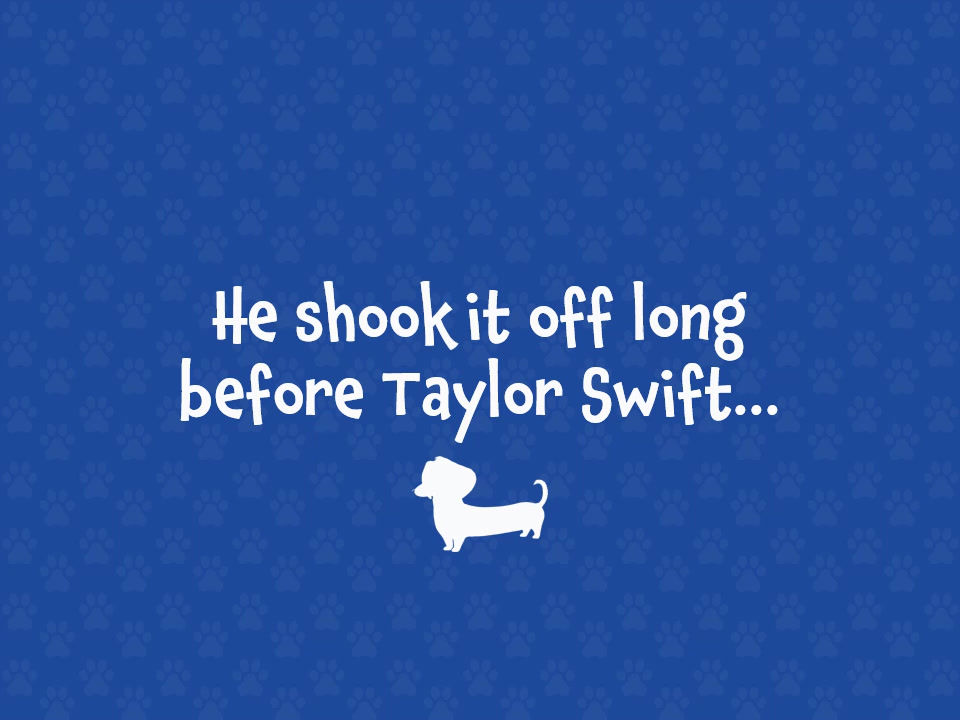 Thumbnail: Softcover 11x8.5