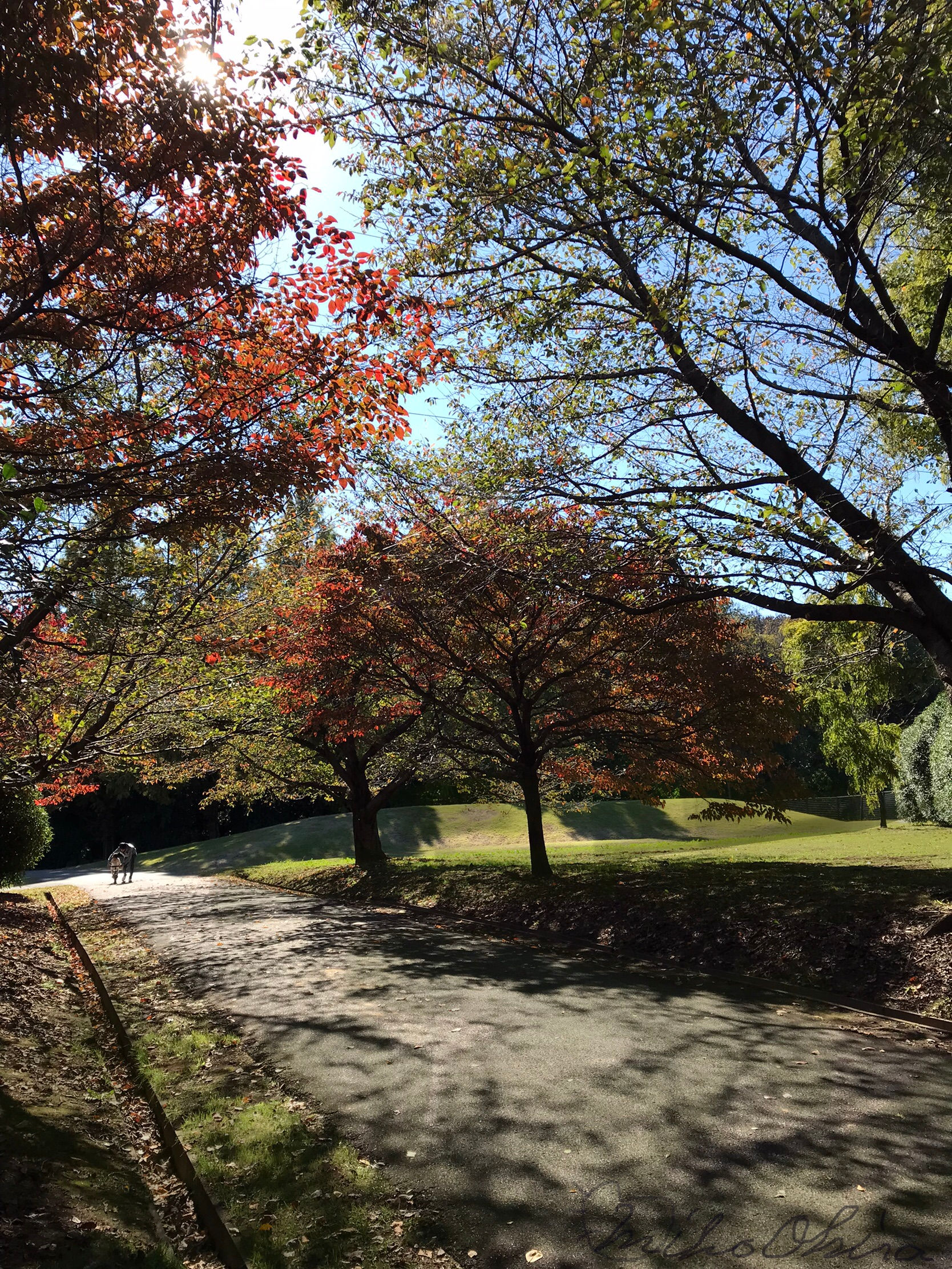 One autumn afternoon