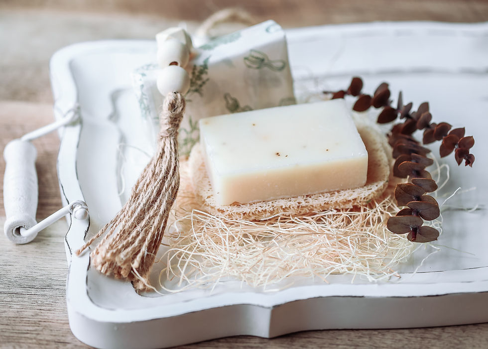 Eucalyptus Aloe Bar Soap