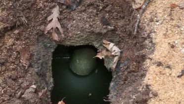 Septic backing up and full but you cannot locate it? Call today. Get your buried septic tank located