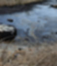 petroleo3.jpg