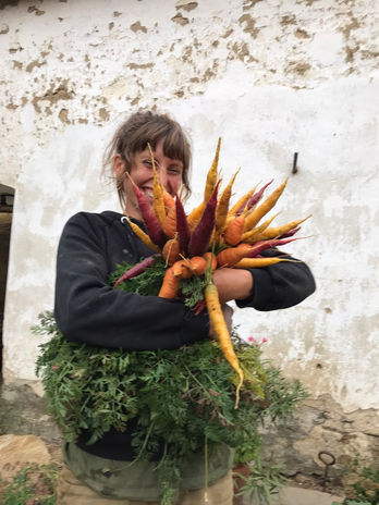 bio, regional, saisonal, handwerk, landwirtschaft, naturnah, ökologisch, nachhaltig, slow-food, nose-to-tail, root-to-leaf, naturprodukte