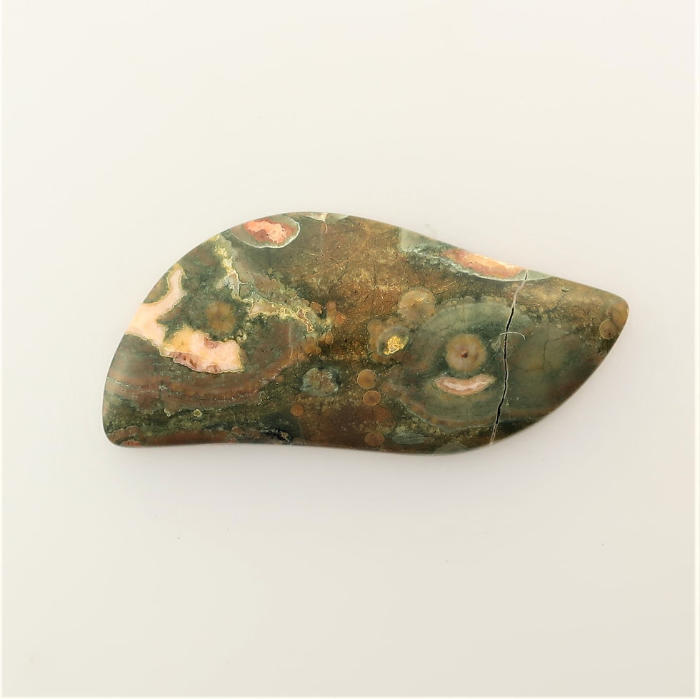 RY: 12 (SBBT) Rain Forest Jasper