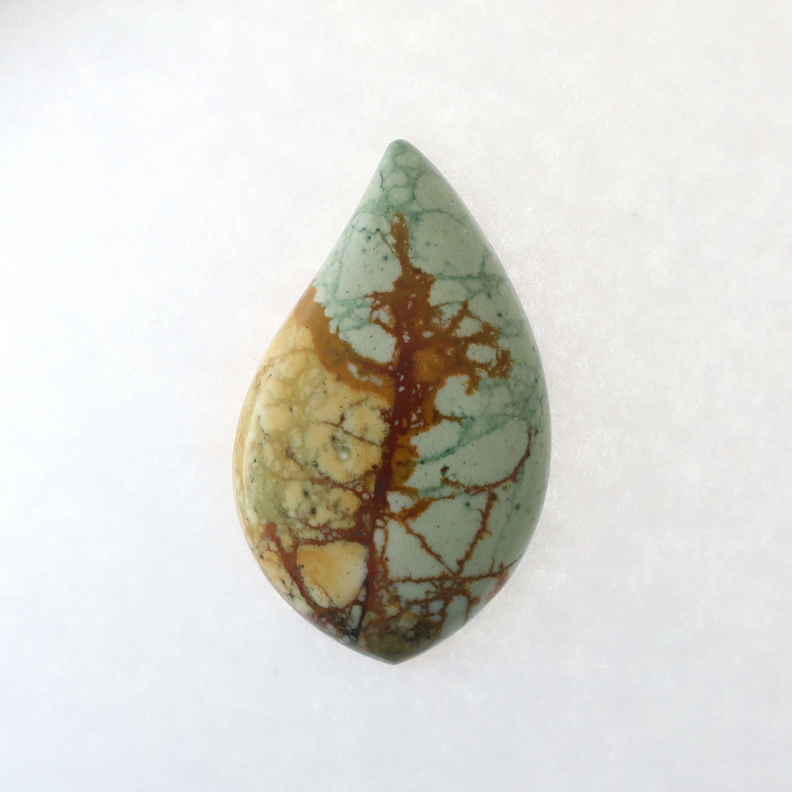 BMJ:EM004 (Cab) Blue Mustang Jasper