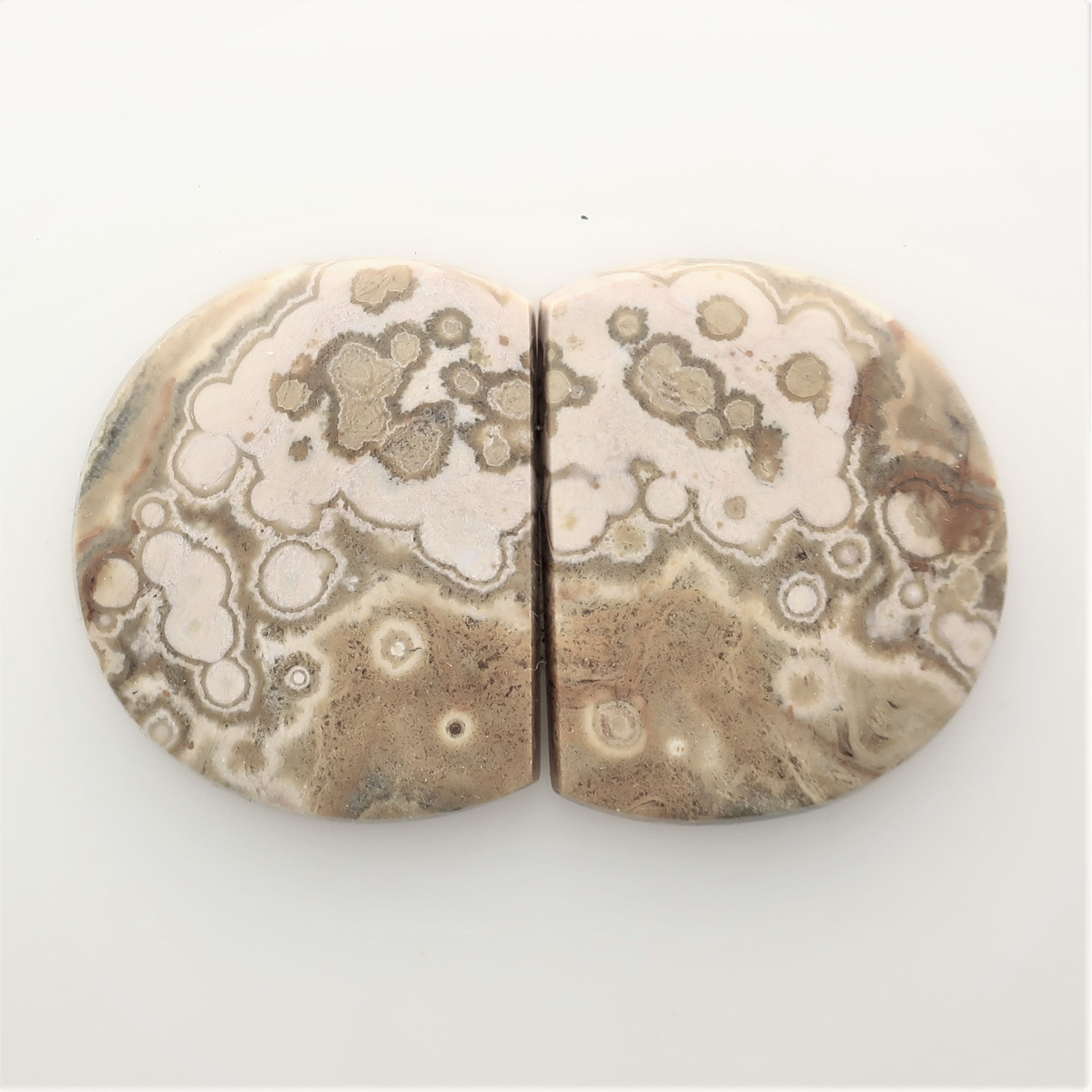 OJA: #7(SBBT) Ocean Jasper