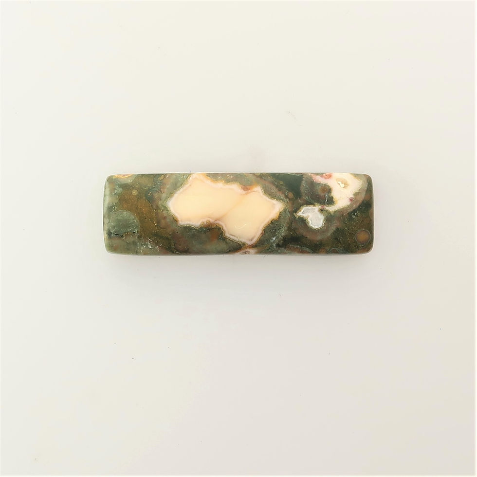 RY: 23 (SBBT) Rain Forest Jasper