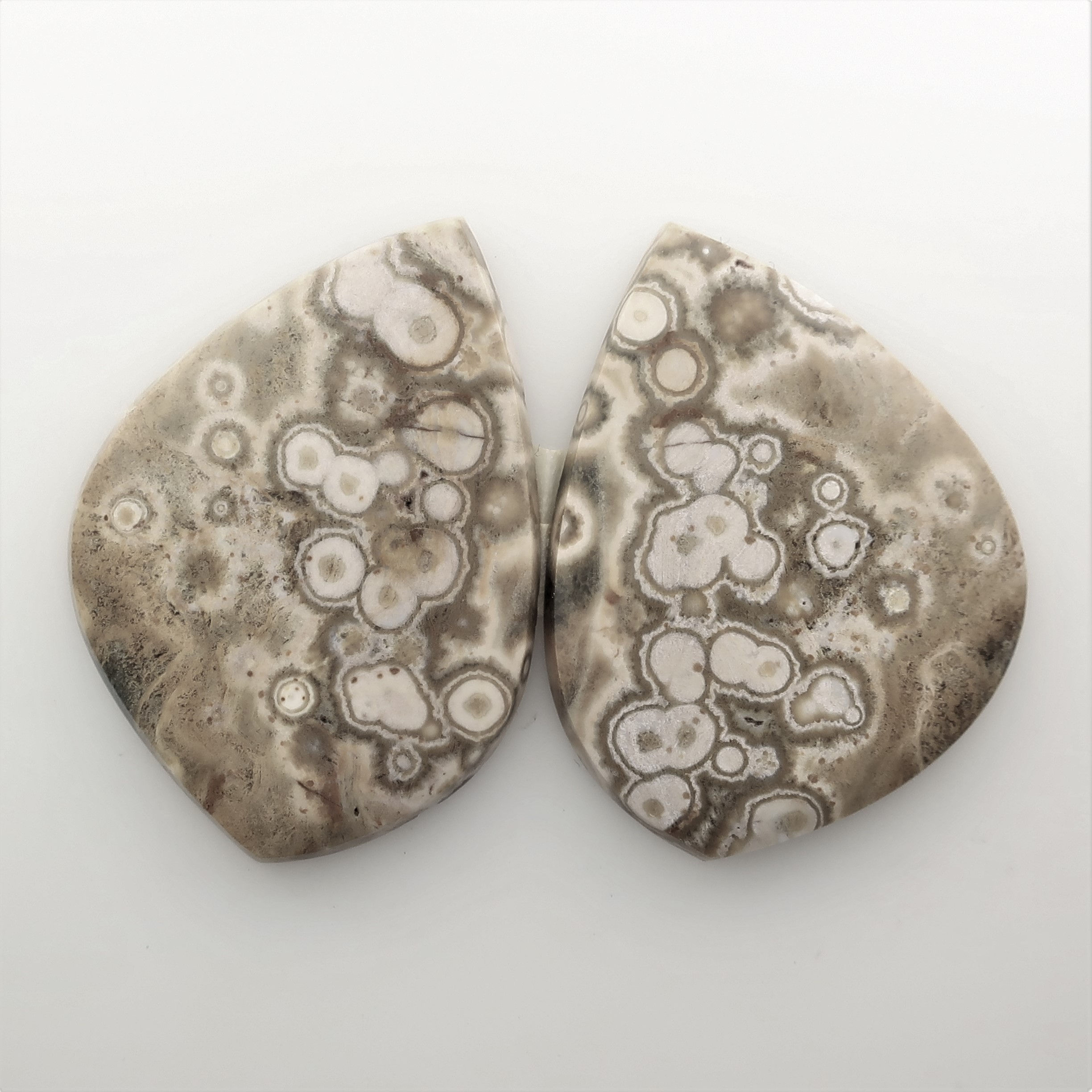 OJA: #8 (SBBT) Ocean Jasper, 1 pair