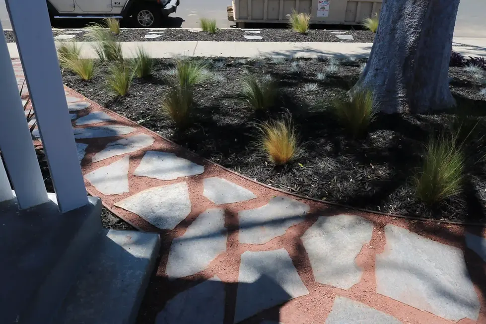 NATURALISTIC PLANTING DESIGN MIMI BACH