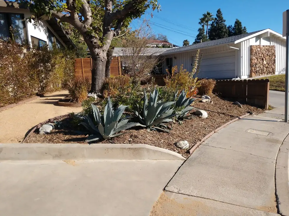 custom-landscape-lighting-los-angeles