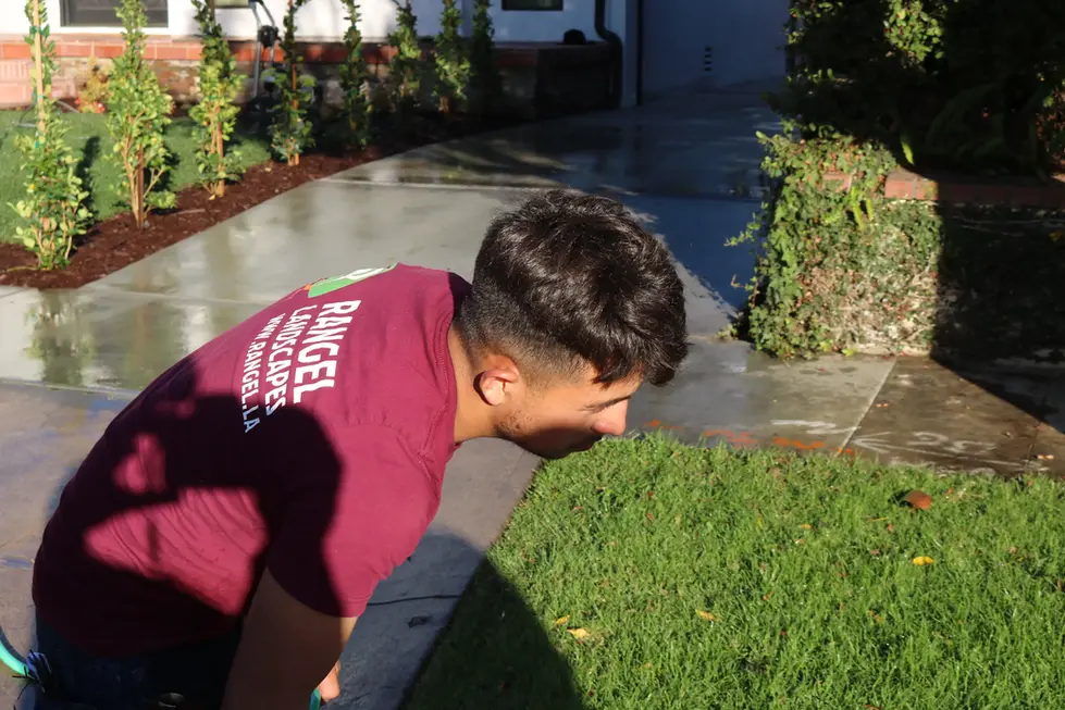 PROFESSIONAL GARDEN DESIGN WITH BRICK LINES – JASON SONG