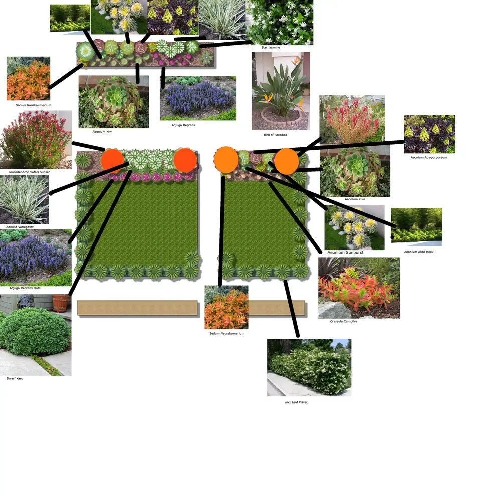jason-song-conceptual-landscape-plan-pool-layout-design