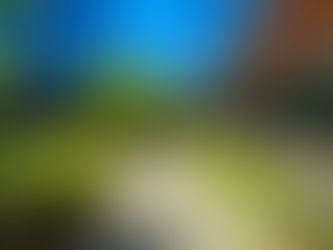 How Strategic Commercial Landscape Design Boosts Property Value and Brand Image