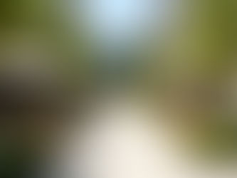 Commercial Grounds Maintenance Services | Bloom Works Landscape | Los Angeles