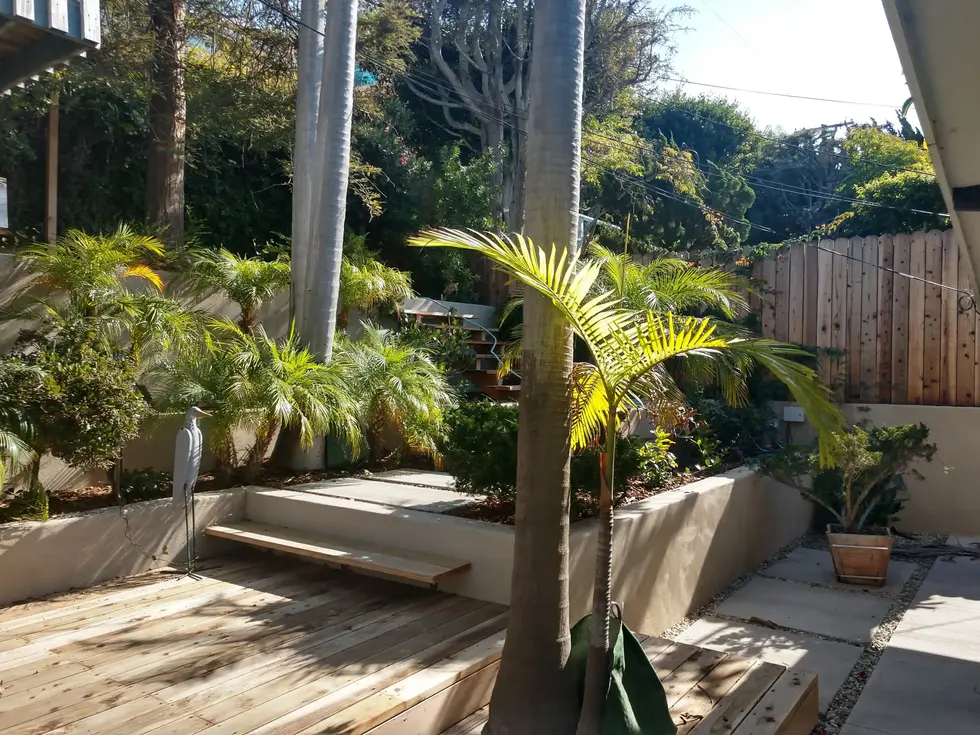 DROUGHT-FRIENDLY LANDSCAPING – ERIK D_134853