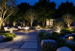 3D Night Garden Layout With Native Plants and Patio