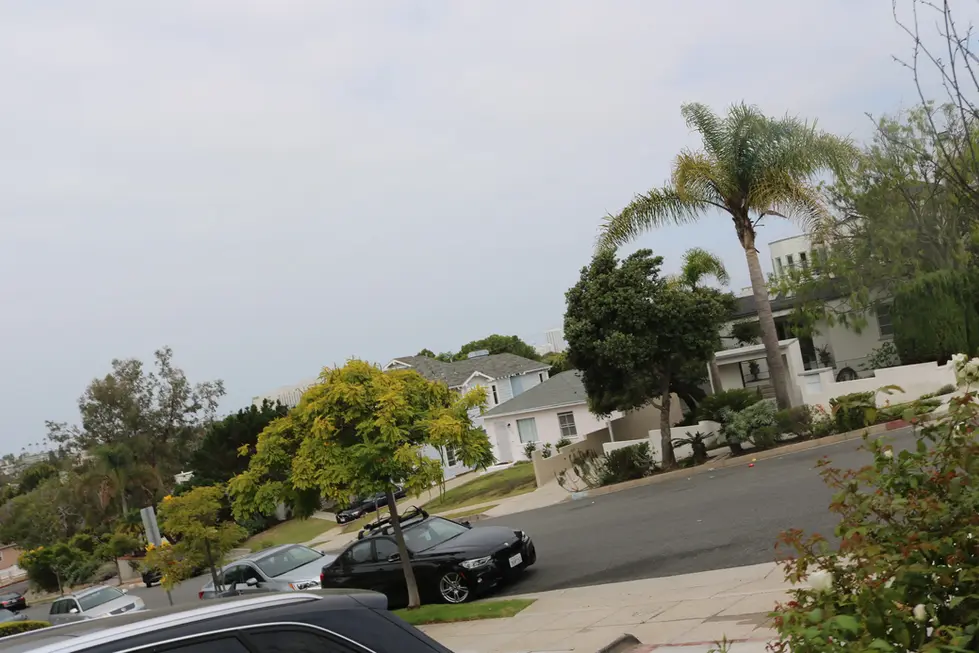 CURVED STONE PATHWAY WITH MULCH BED BORDER – JOE GUILLIAN