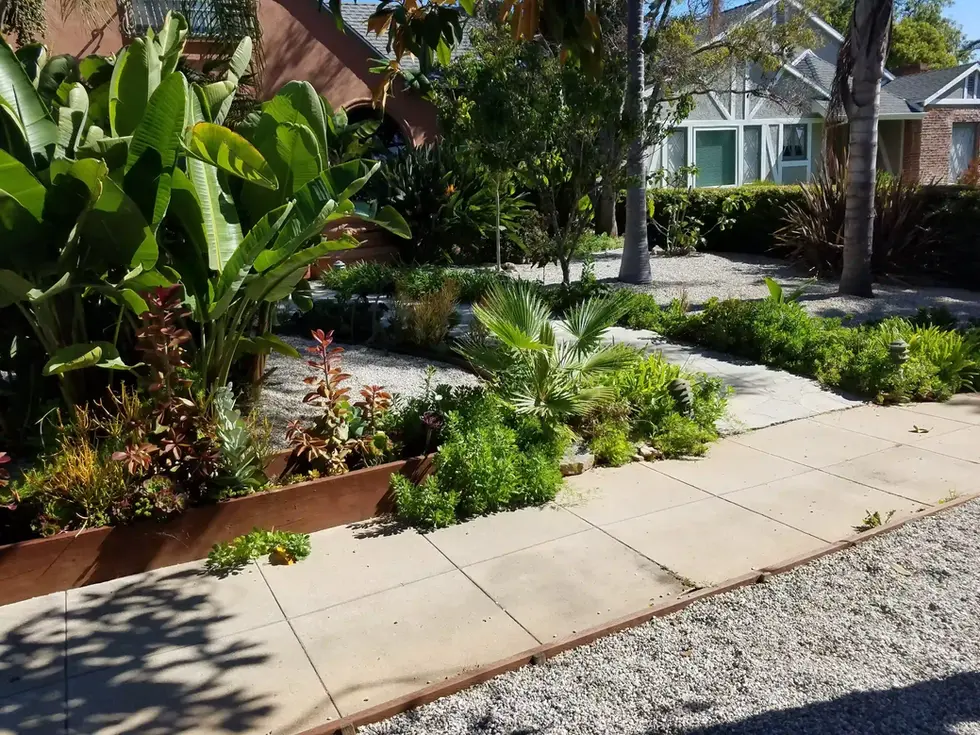 bloom-works-los-angeles-yard-makeover