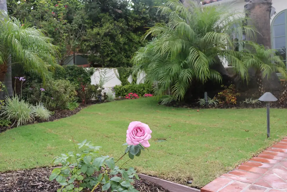 GRAVEL AND MULCH COMBINATION FOR LOW WATER LANDSCAPE – JOE GUILLIAN