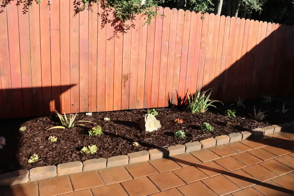 ORGANIZED PLANT GROUPINGS WITH SYMMETRY – JASON SONG